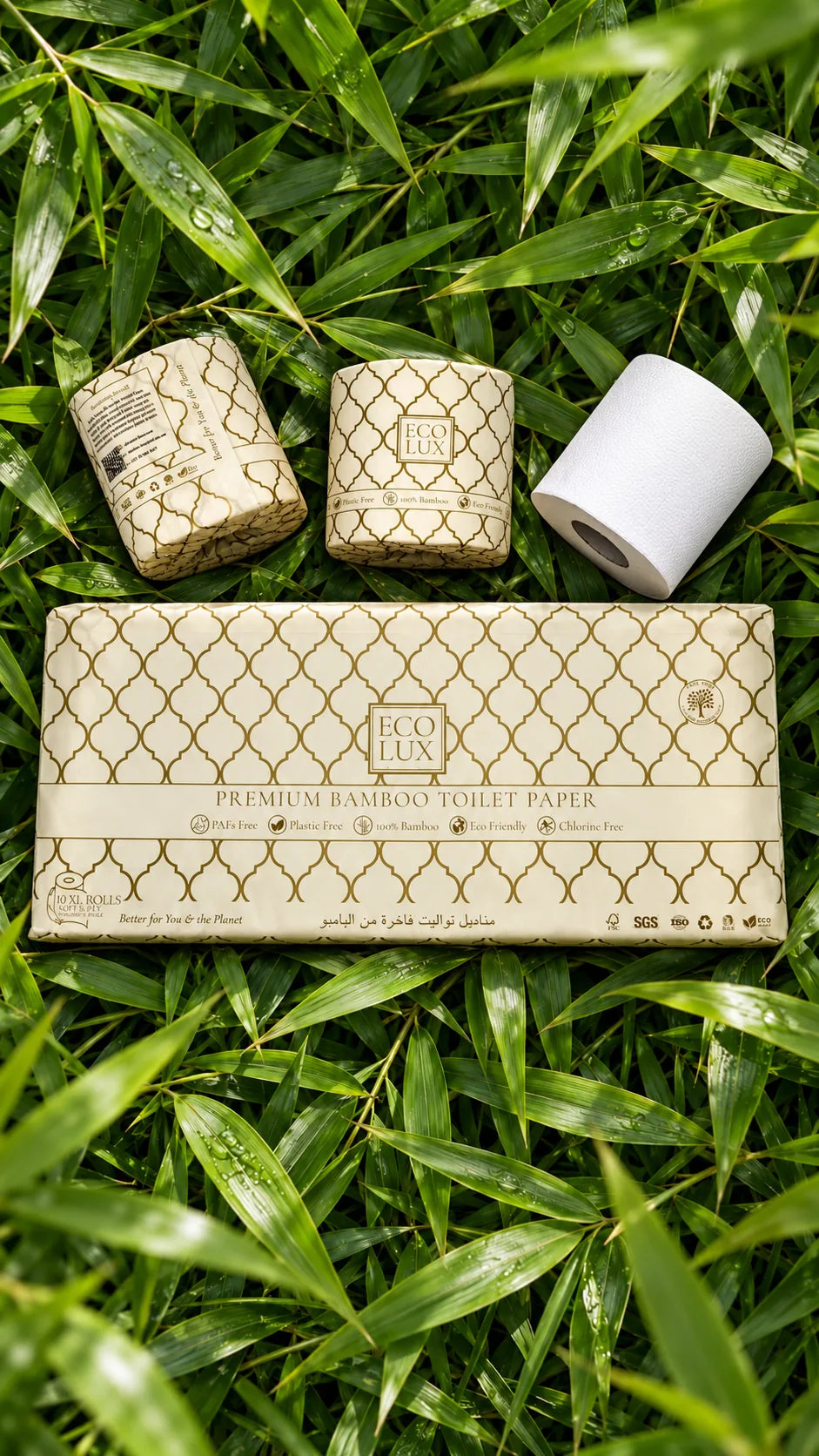 The Eco Lux 10 Pack and three rolls lying on fresh bamboo leaves
