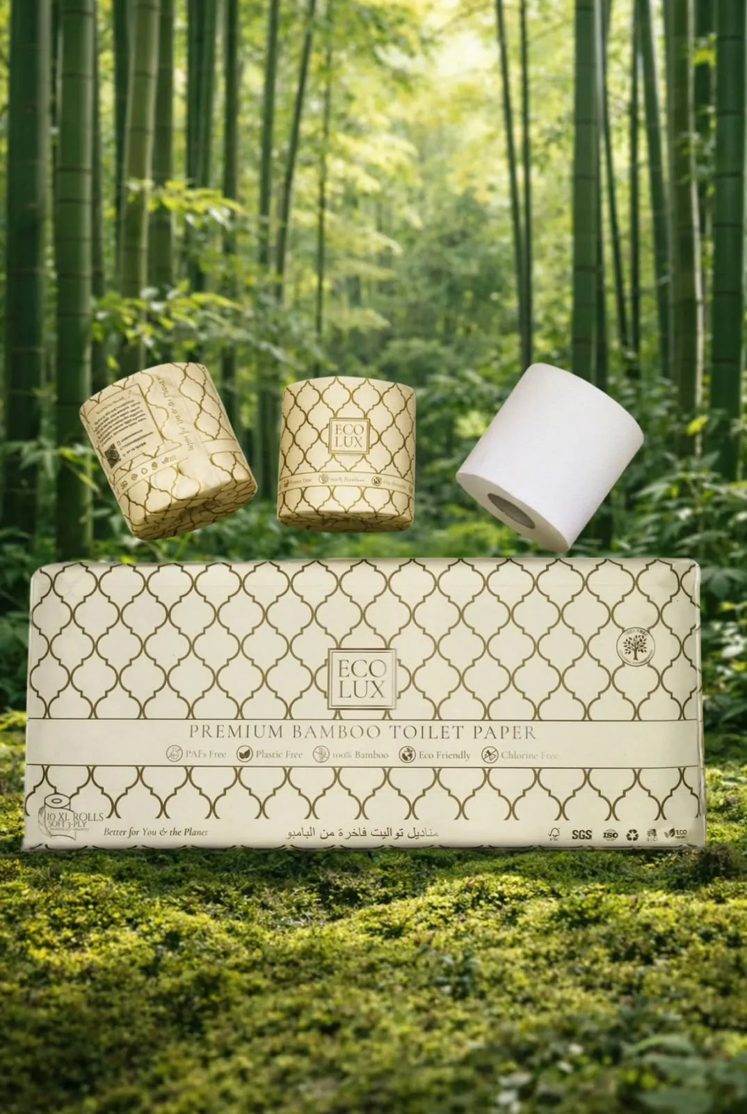 An Eco Lux case on moss in a bamboo forest, with two wrapped rolls and one bare roll floating above it